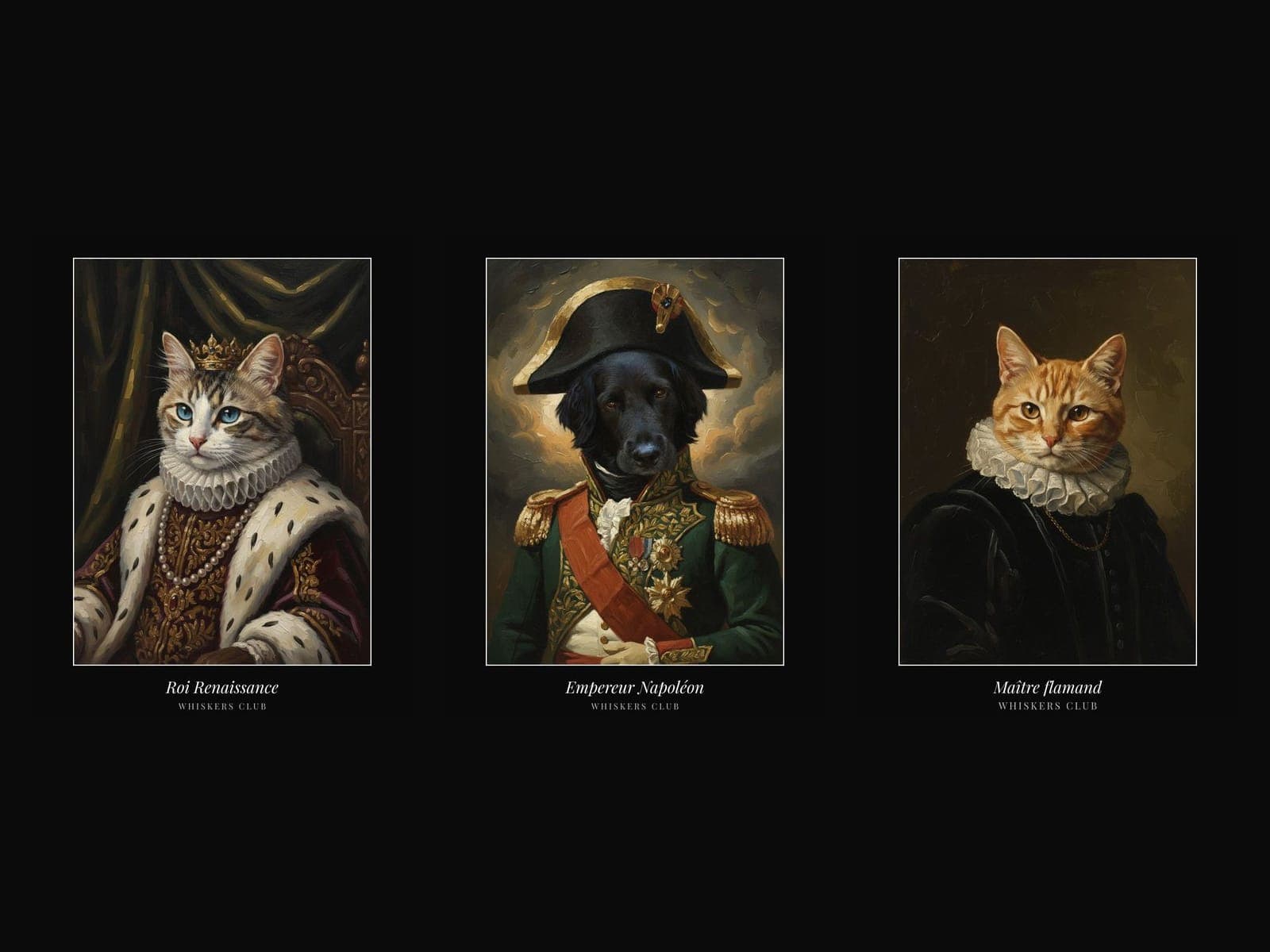Les trois styles de portrait Whiskers Club, encadrés et légendés comme des cartels de musée